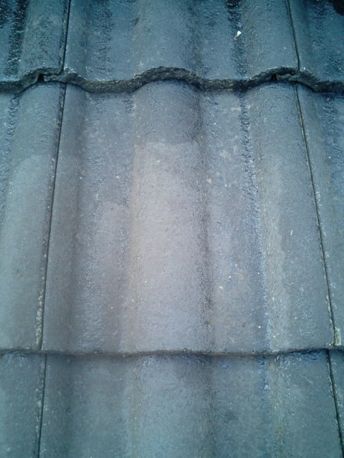 屋根：シーラー塗装１回目
