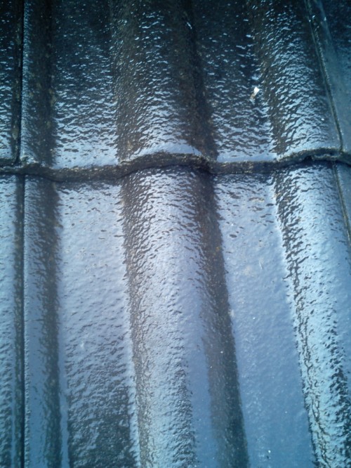 屋根：シーラー塗装３回目